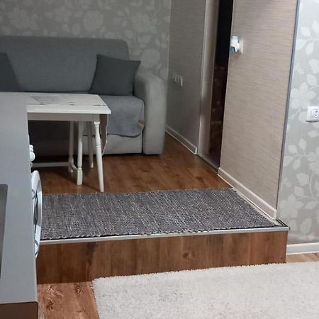 Cozy Studio In The Heart Of Cluj Exteriör bild