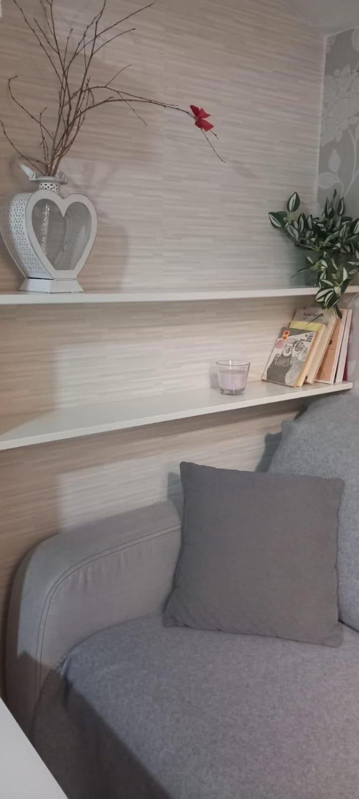 Cozy Studio In The Heart Of Cluj Exteriör bild